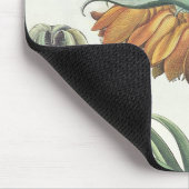 Fritillary: Korona Imperialis florum classe duplic Mousepad (Ecke)