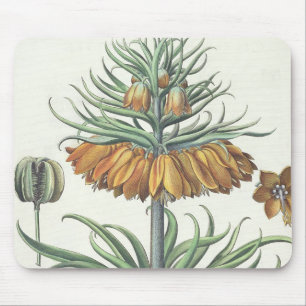 Fritillary: Korona Imperialis florum classe duplic Mousepad