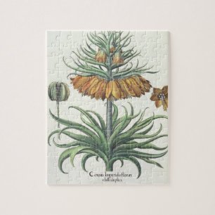 Fritillary: Korona Imperialis florum classe duplic Puzzle