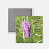 Fritillary Magnet (Vorderseite/Rückseite)