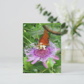 Fritillary & Passion Vine Postcard Postkarte (Stehend Vorderseite)