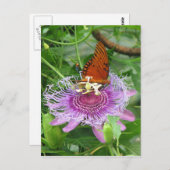Fritillary & Passion Vine Postcard Postkarte (Vorne/Hinten)