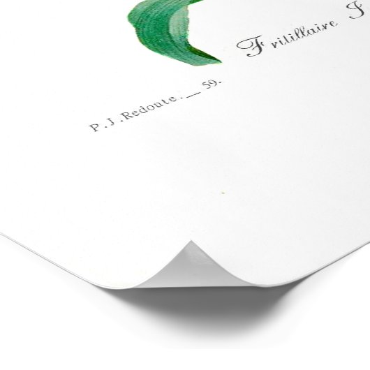 Fritillary Poster (Ecke)