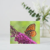 Fritillary World - Butterfly Postkarte (Stehend Vorderseite)