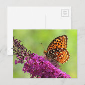 Fritillary World - Butterfly Postkarte (Vorne/Hinten)
