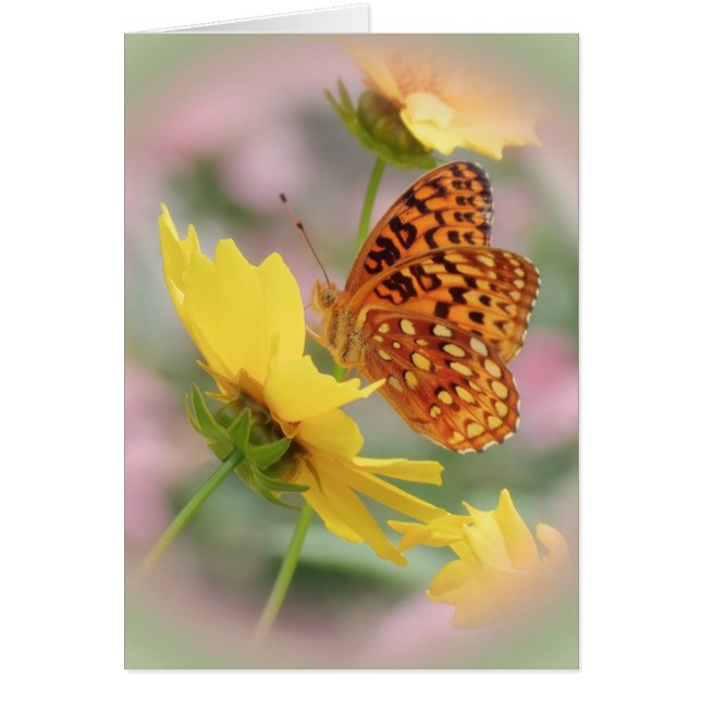 Fritillerische Welt (Vorne)