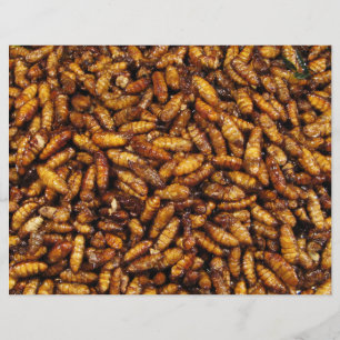 Frittierte Seidenraupen ... thailändisches Street  Flyer