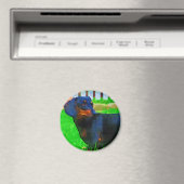 Fritz Magnet (In Situ (Geschirrspüler))