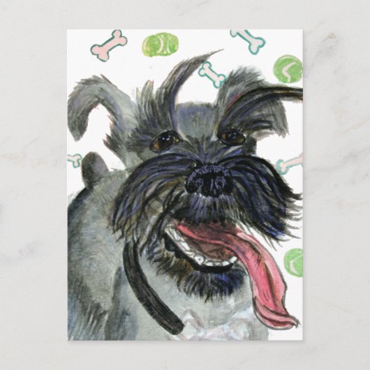 FRITZ POSTKARTE (Vorderseite)