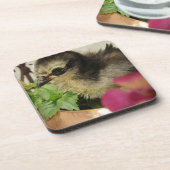 Frizzle Chick Getränkeuntersetzer (Linke Seite)