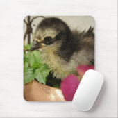 Frizzle Chick in Blume Mousepad (Mit Mouse)