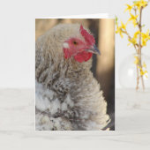 Frizzle Chicken Jeder Anlass Karte (Gelbe Blume)