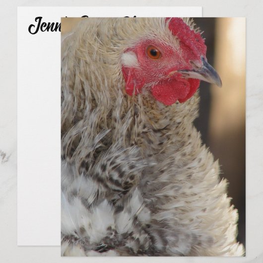 Frizzle Rooster (Vorne/Hinten)