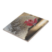 Frizzle Rooster Fliese (Seite)