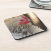 Frizzle Rooster Getränkeuntersetzer (Linke Seite)