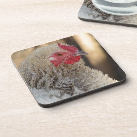 Frizzle Rooster Getränkeuntersetzer (Linke Seite)