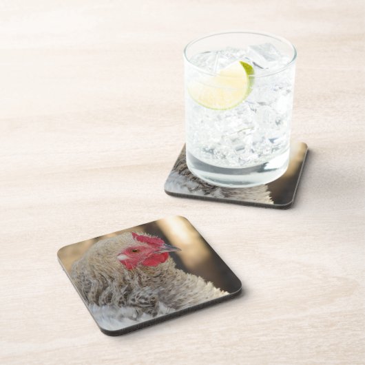 Frizzle Rooster Getränkeuntersetzer (Rechte Seite)