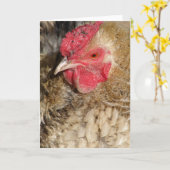 Frizzle Rooster Karte (Gelbe Blume)