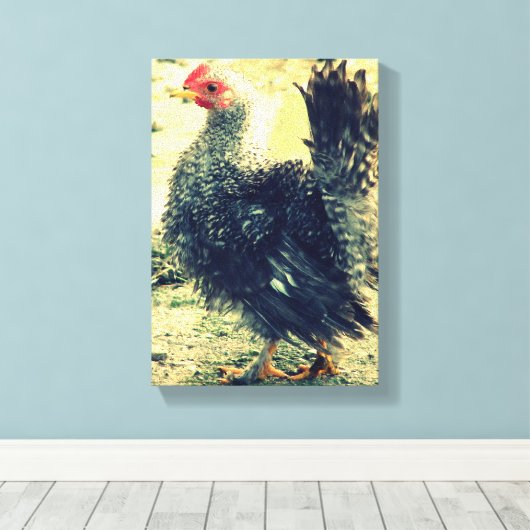 Frizzle Rooster Leinwanddruck (Insitu (Holzboden))