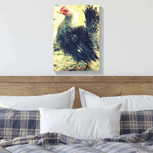 Frizzle Rooster Leinwanddruck (Insitu (Schlafzimmer))