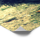 Frizzle Rooster Poster (Ecke)