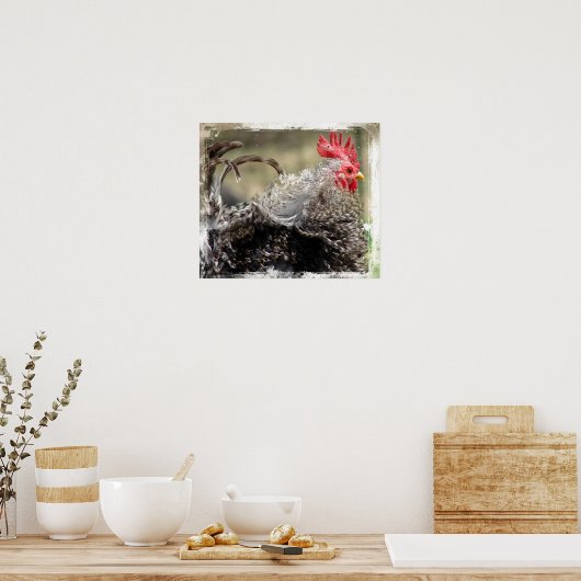 Frizzle Rooster Poster (Küche)