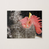 Frizzle Rooster Puzzle (Horizontal)