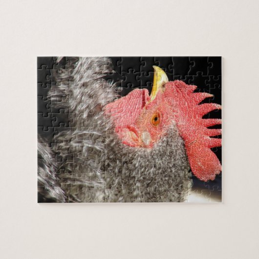 Frizzle Rooster Puzzle (Horizontal)