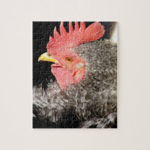 Frizzle Rooster Puzzle