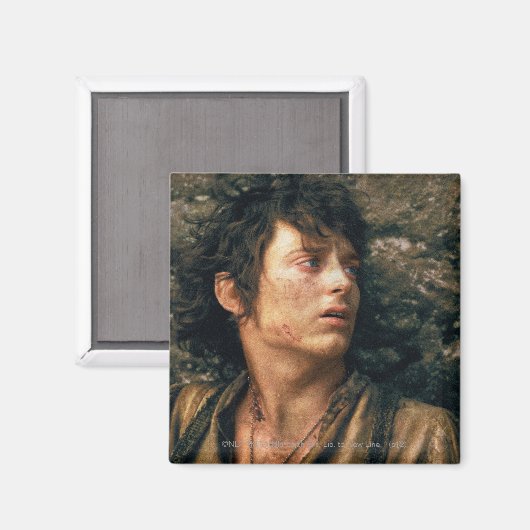 FRODO™ in Verzweiflung Magnet (Vorderseite/Rückseite)