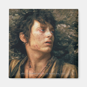 FRODO™ in Verzweiflung Magnet