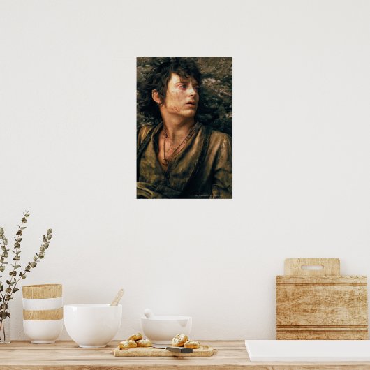 FRODO™ in Verzweiflung Poster (Küche)