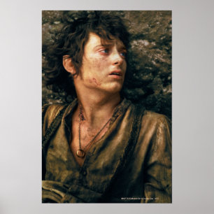 FRODO™ in Verzweiflung Poster