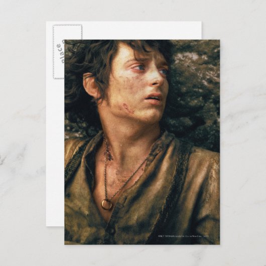 FRODO™ in Verzweiflung Postkarte (Vorne/Hinten)