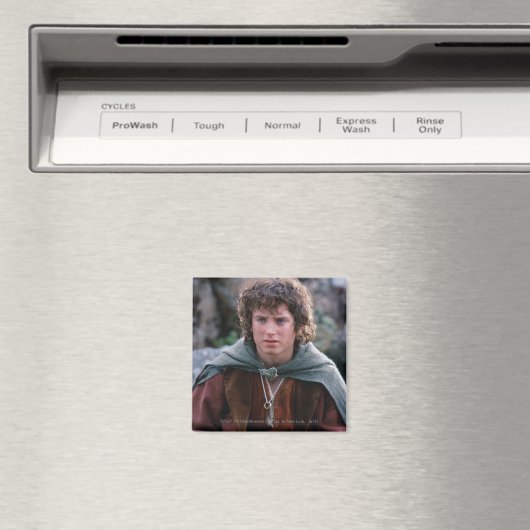 FRODO™ MAGNET (In Situ (Geschirrspüler))