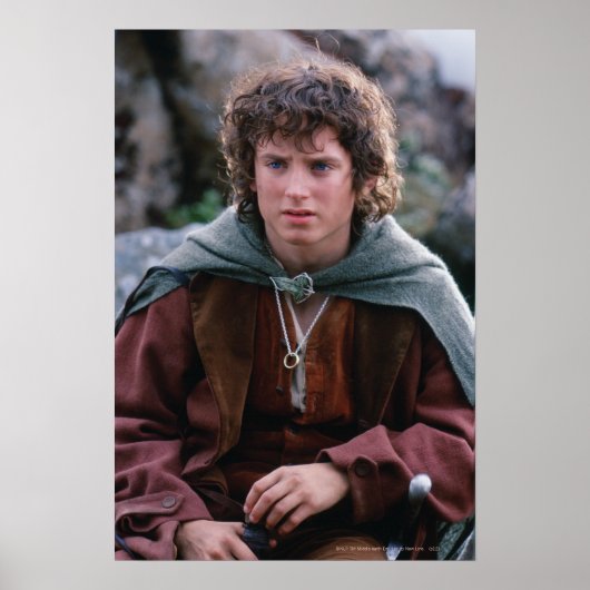 FRODO™ POSTER (Vorne)