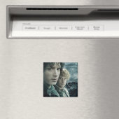 FRODO™ und Samwise Nah Magnet (In Situ (Geschirrspüler))