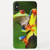 Frog 2 iPhone Case (Rückseite)
