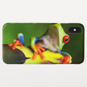 Frog 2 iPhone Case (Rückseite (Horizontal))