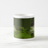 Frog and butterfly kaffeetasse (Mittel)