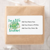 Frog Big Brother (Insitu)