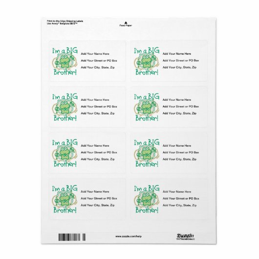 Frog Big Brother (Vorne)