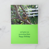 Frog Birthday Gruß Karte (Innenseite)