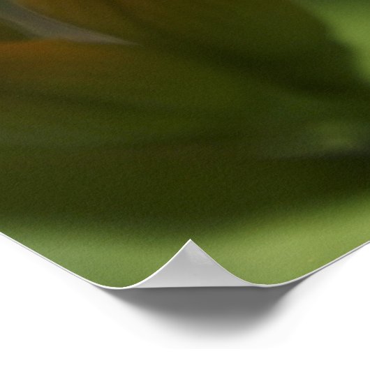 Frog-Blume Poster (Ecke)