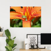 Frog-Blume Poster (Heimbüro)