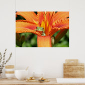 Frog-Blume Poster (Küche)