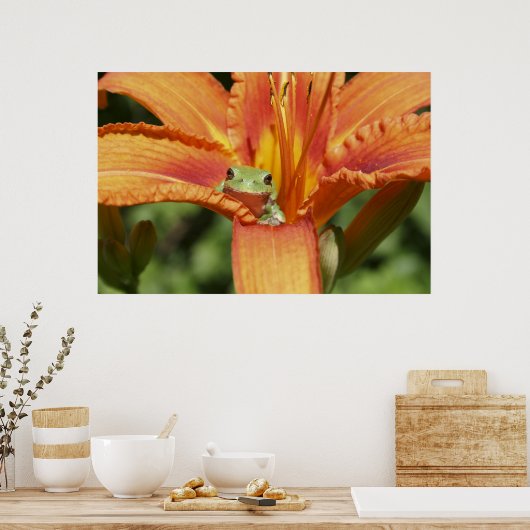 Frog-Blume Poster (Küche)