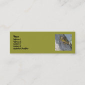 Frog Business Cards Mini Visitenkarte (Vorderseite)