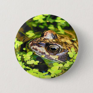 FROG BUTTON