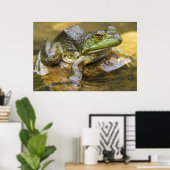 Frog entlang des Buffalo River, Mile 126 auf der Poster (Heimbüro)